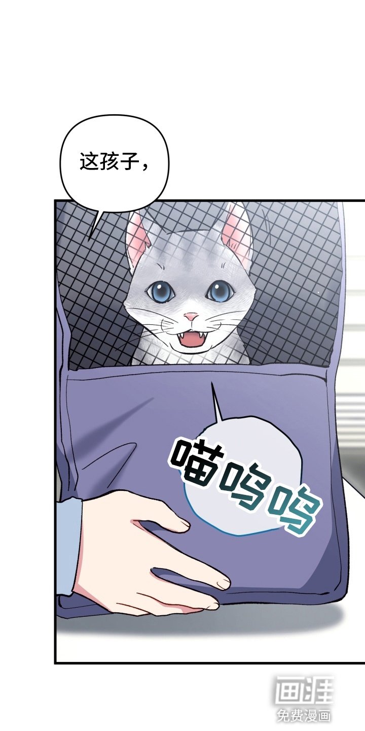 第79章：托孤