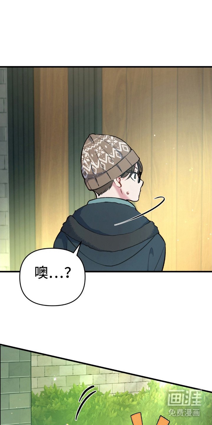 第8章： 受伤的猫咪
