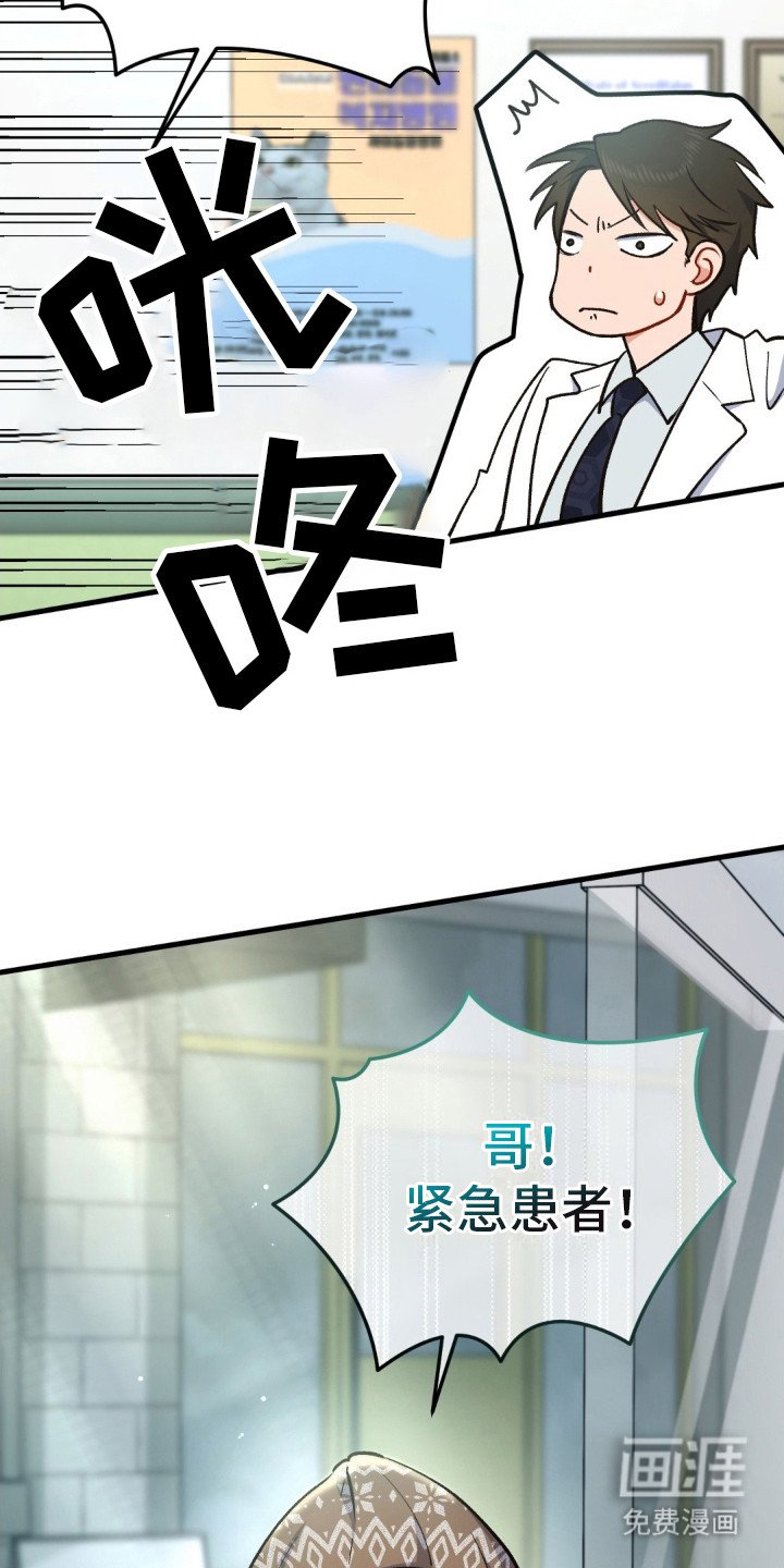 第8章： 受伤的猫咪