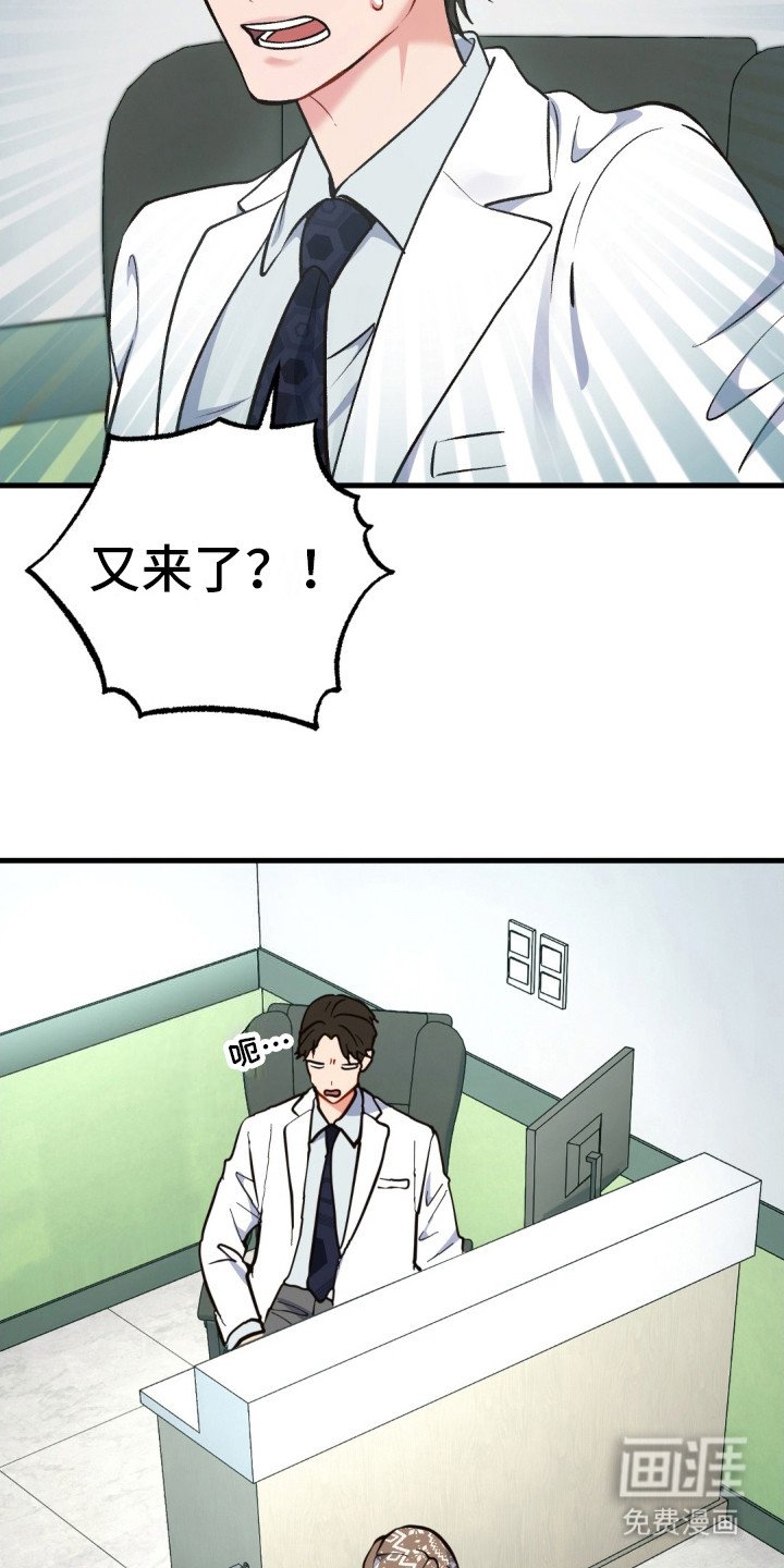 第8章： 受伤的猫咪