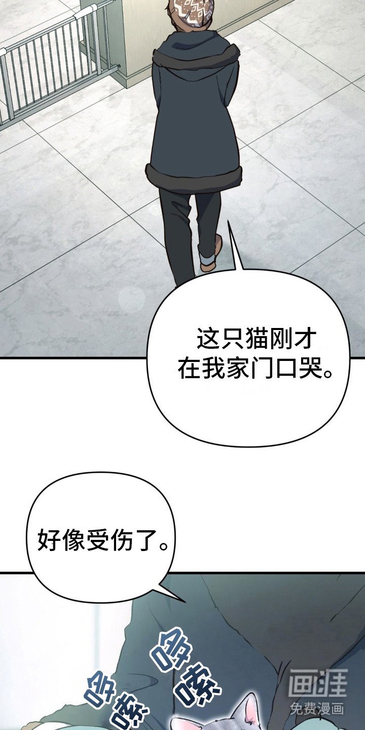 第8章： 受伤的猫咪