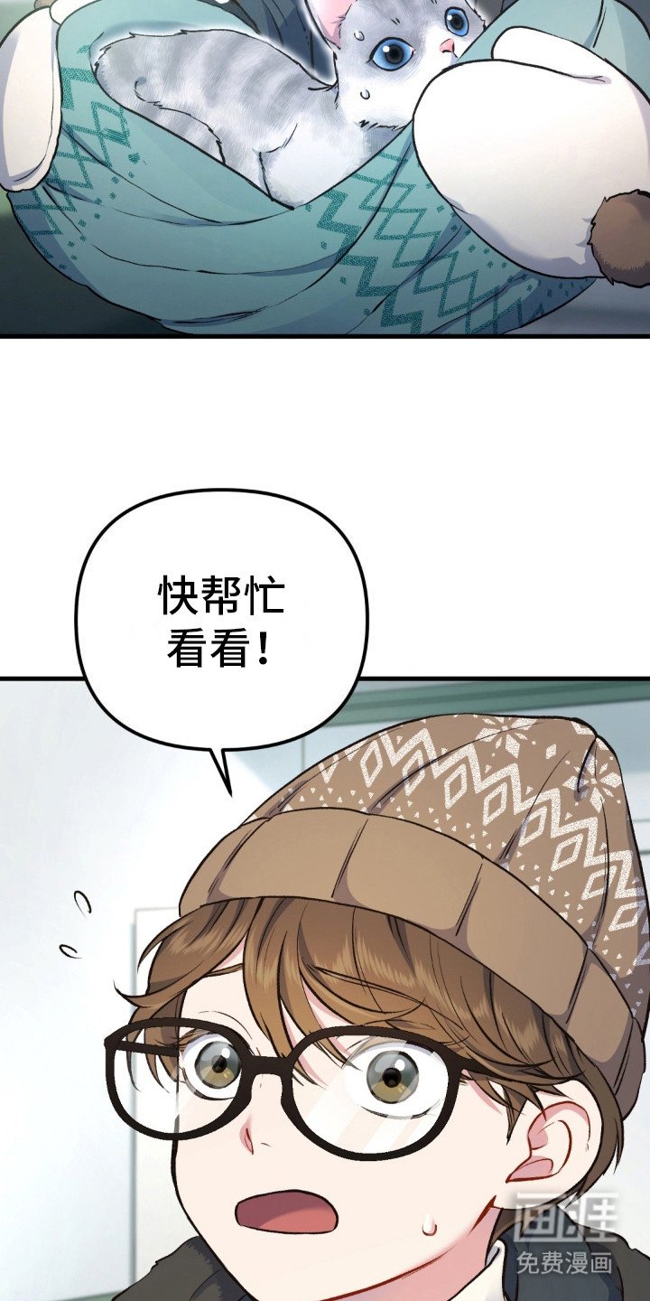 第8章： 受伤的猫咪