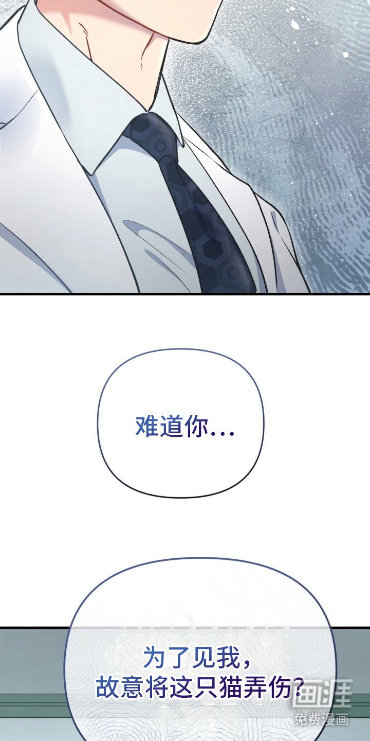 第8章： 受伤的猫咪