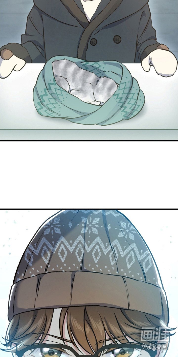 第8章： 受伤的猫咪