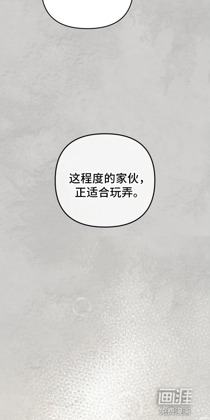 第81章：资助