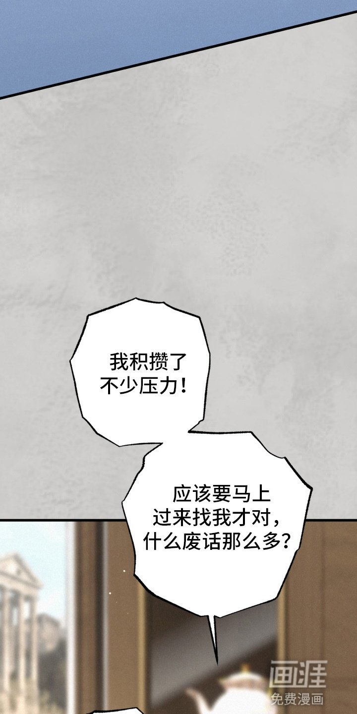 第81章：资助