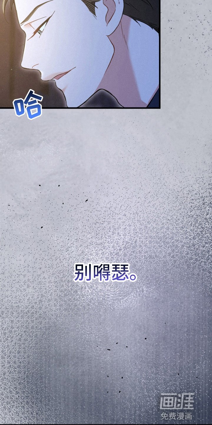 第81章：资助