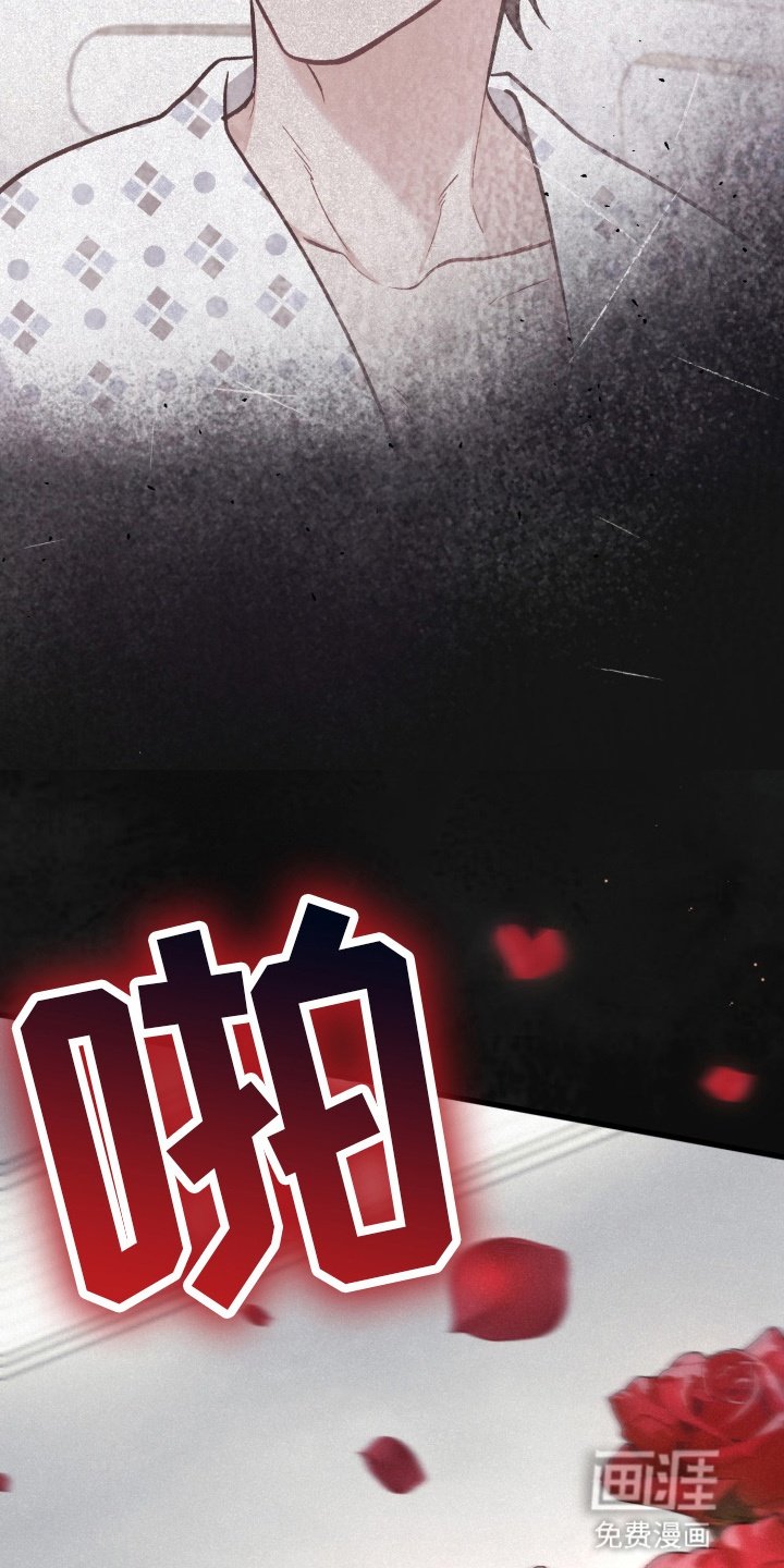 第82章：宠物