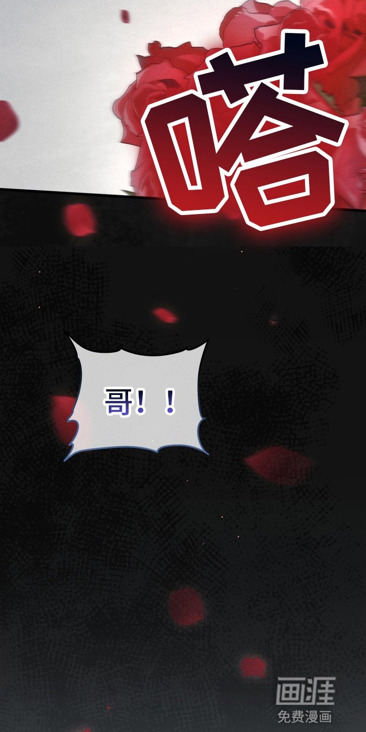 第82章：宠物