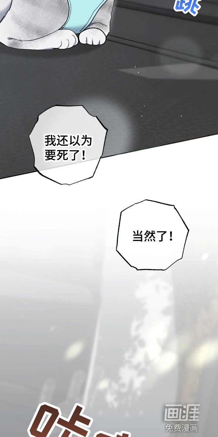 第89章：接下来该怎么办