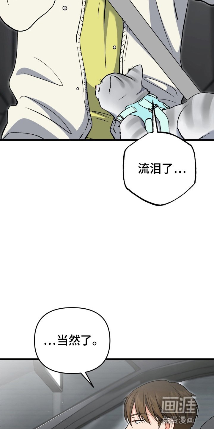第89章：接下来该怎么办