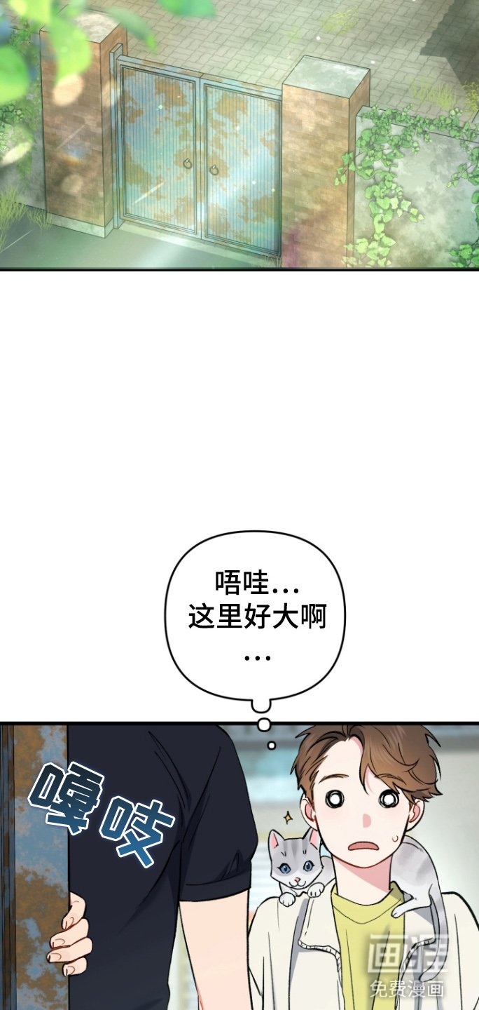 第91章：家乡