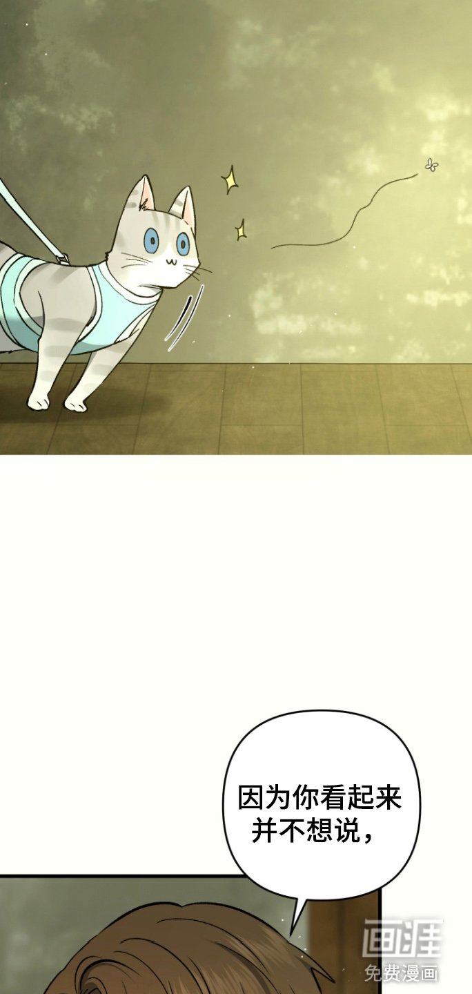 第91章：家乡