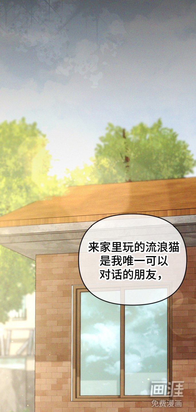 第91章：家乡