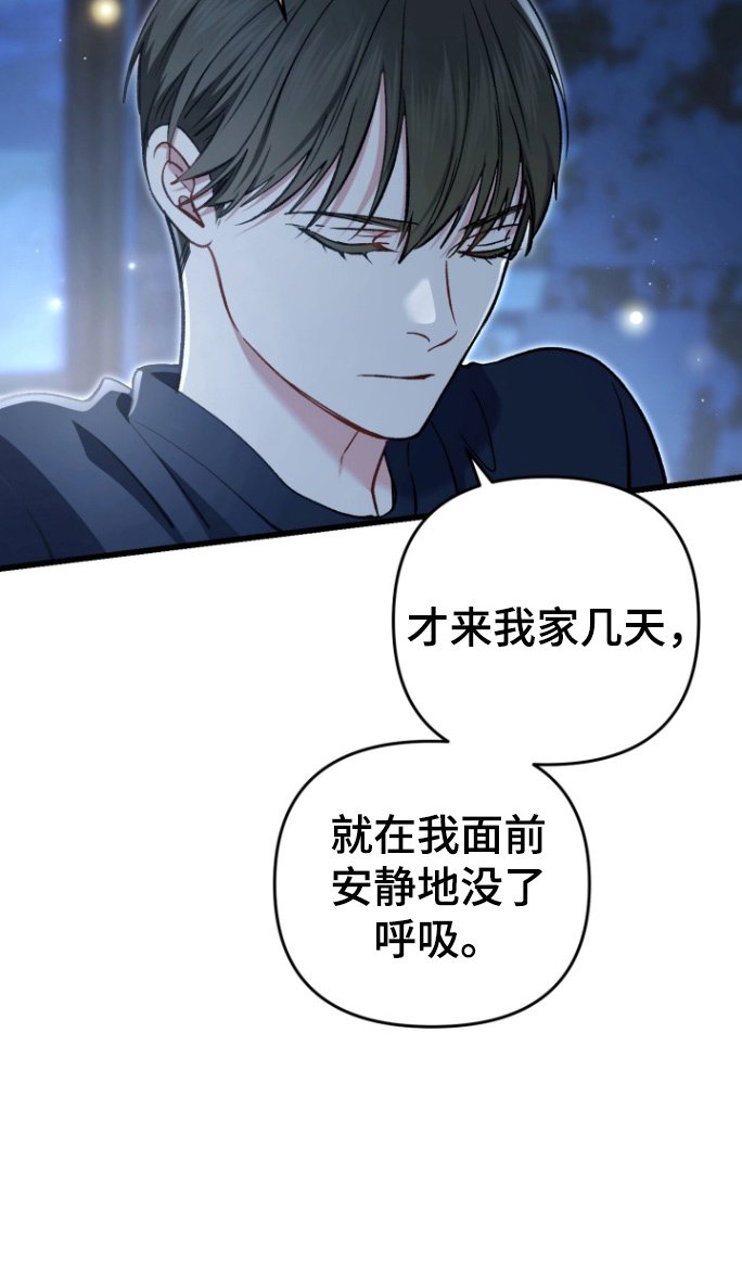 第91章：家乡