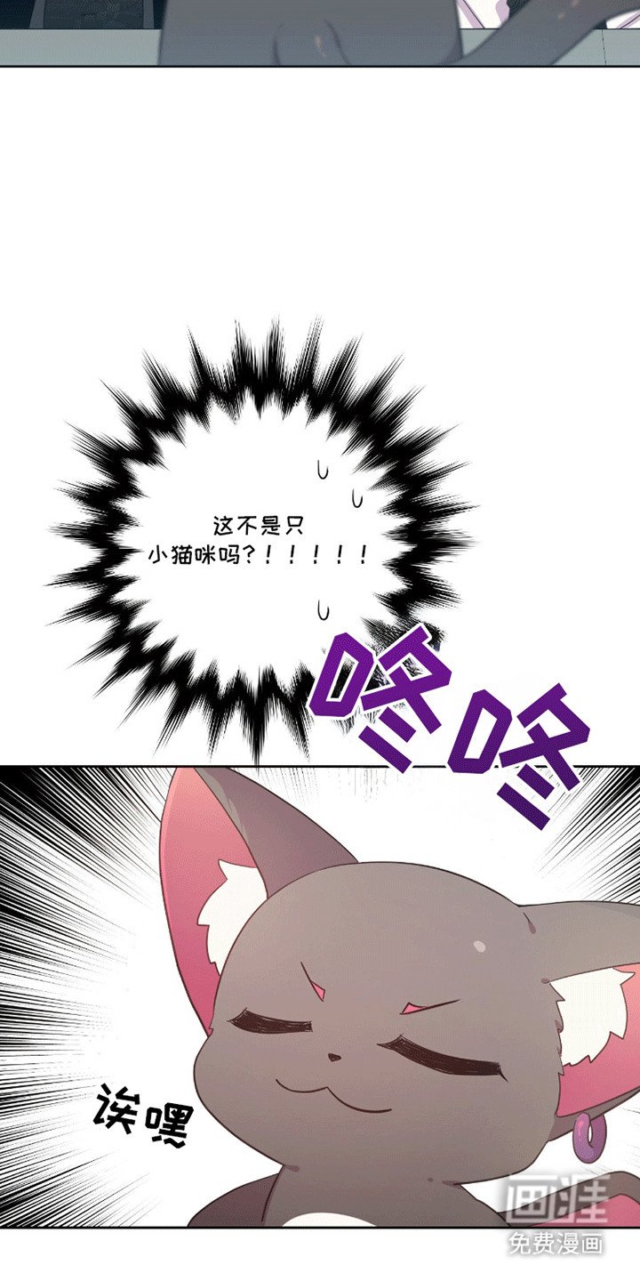 第11章：咪咪