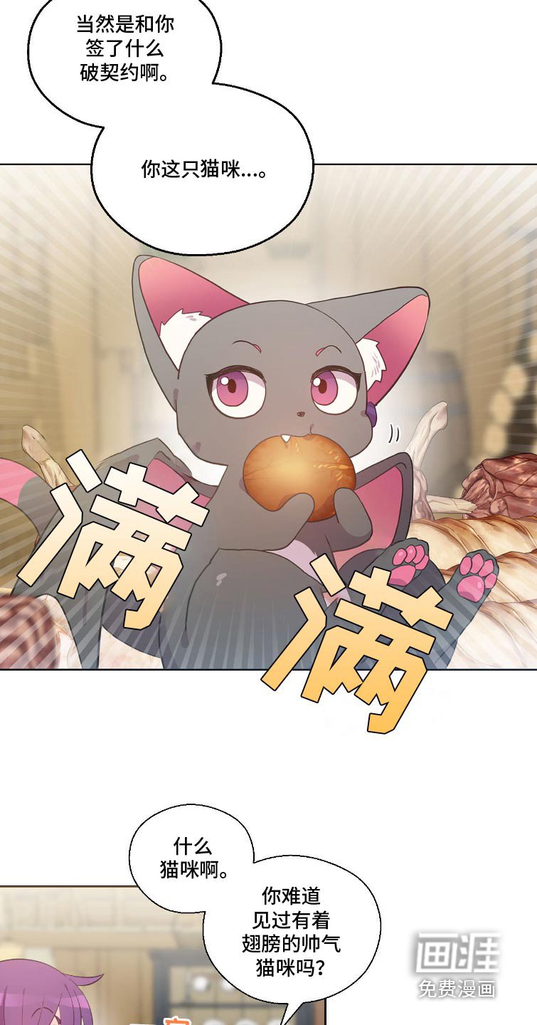 第12章：契约