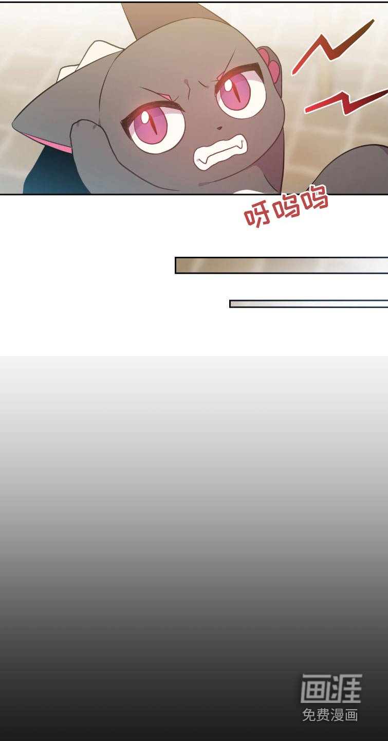 第12章：契约