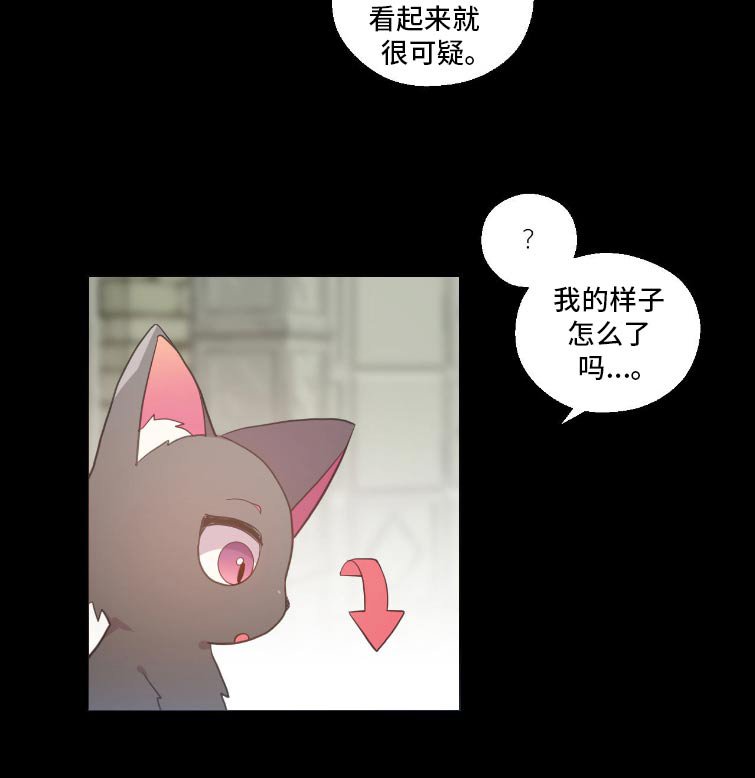 第12章：契约