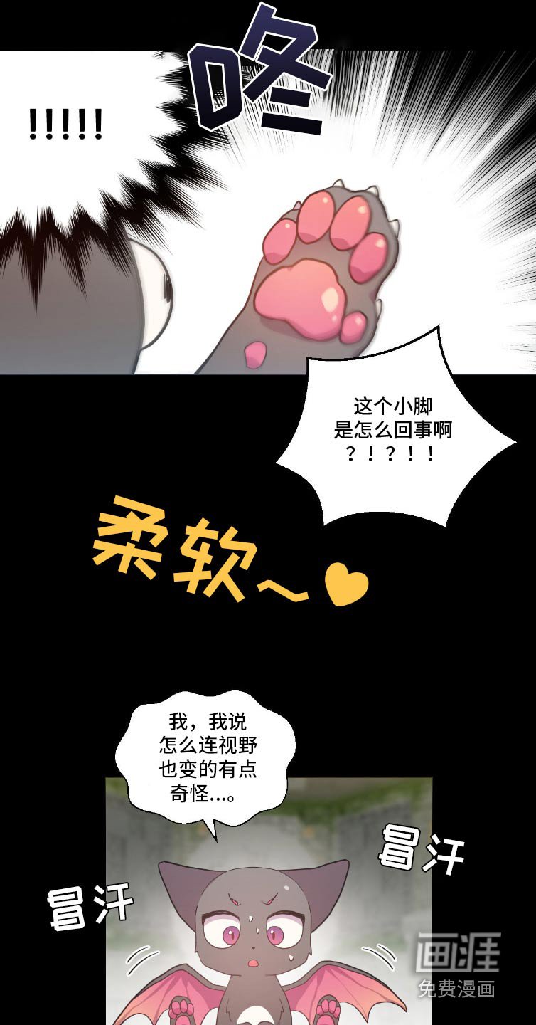 第12章：契约