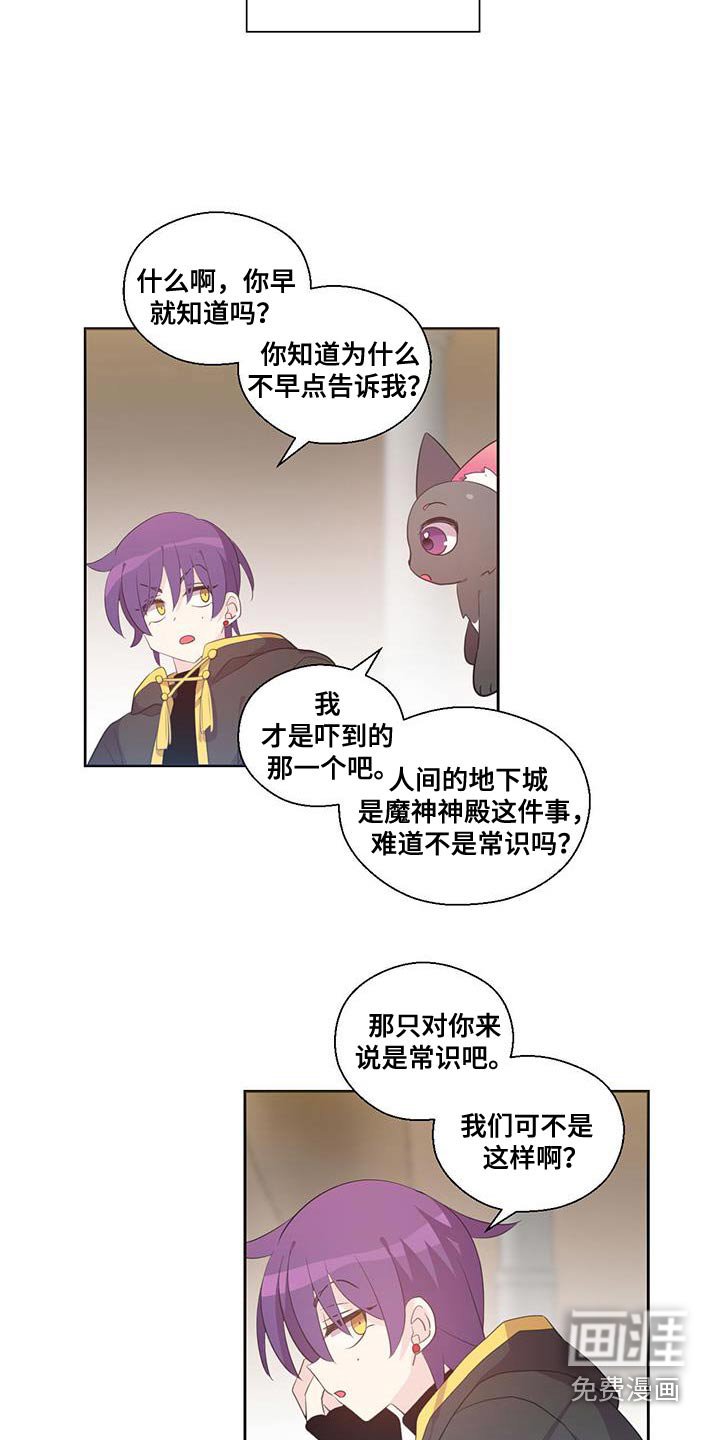 第17章：宝石