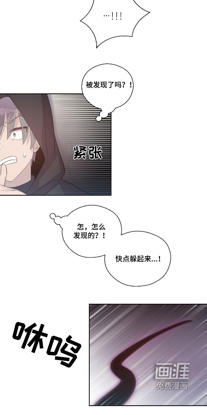 第49章：有人跟踪
