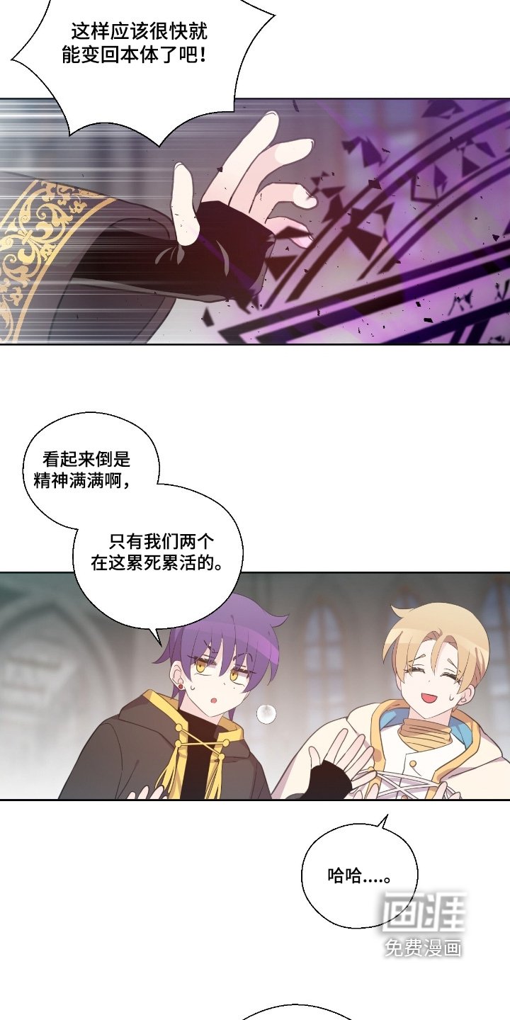 第61章：没什么动向