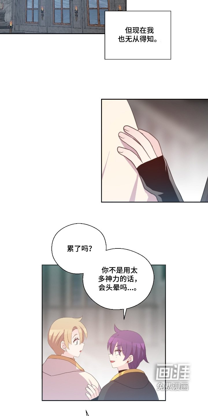 第61章：没什么动向
