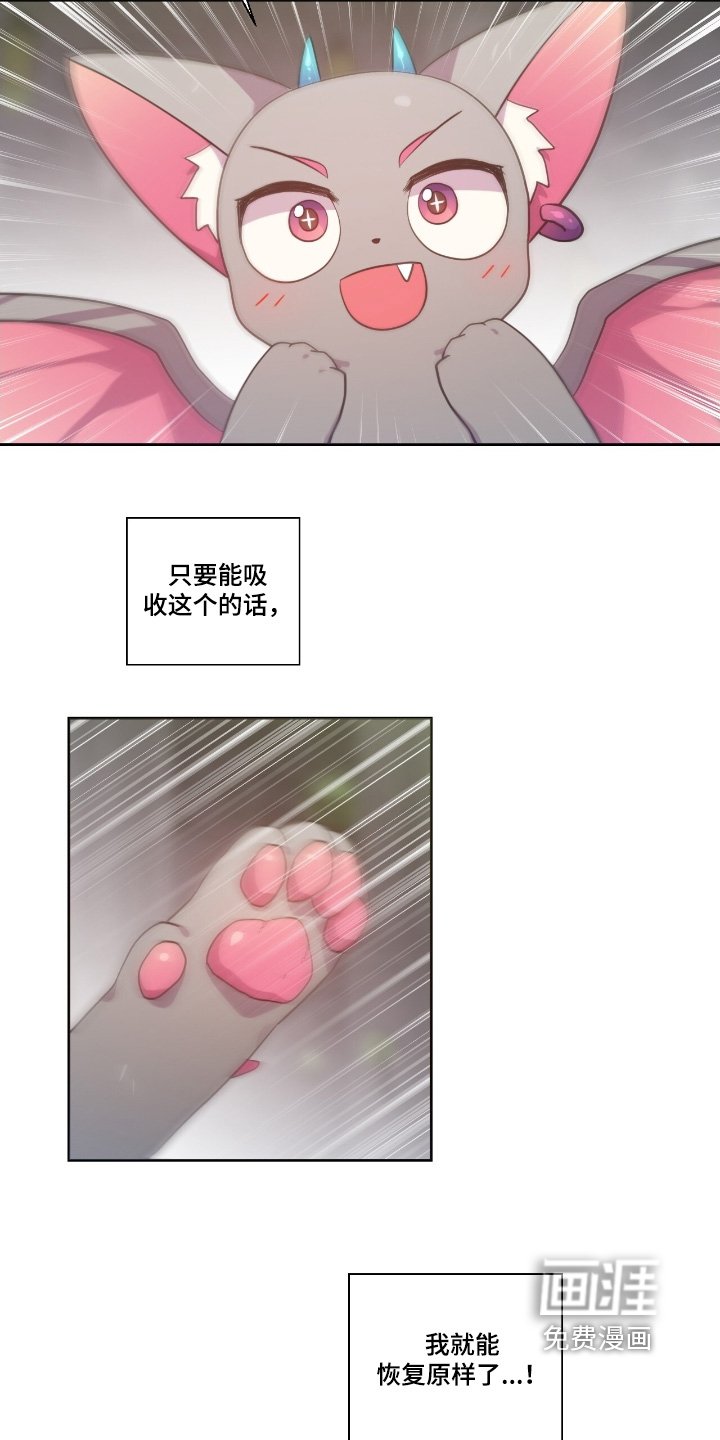 第63章：到底怎么回事