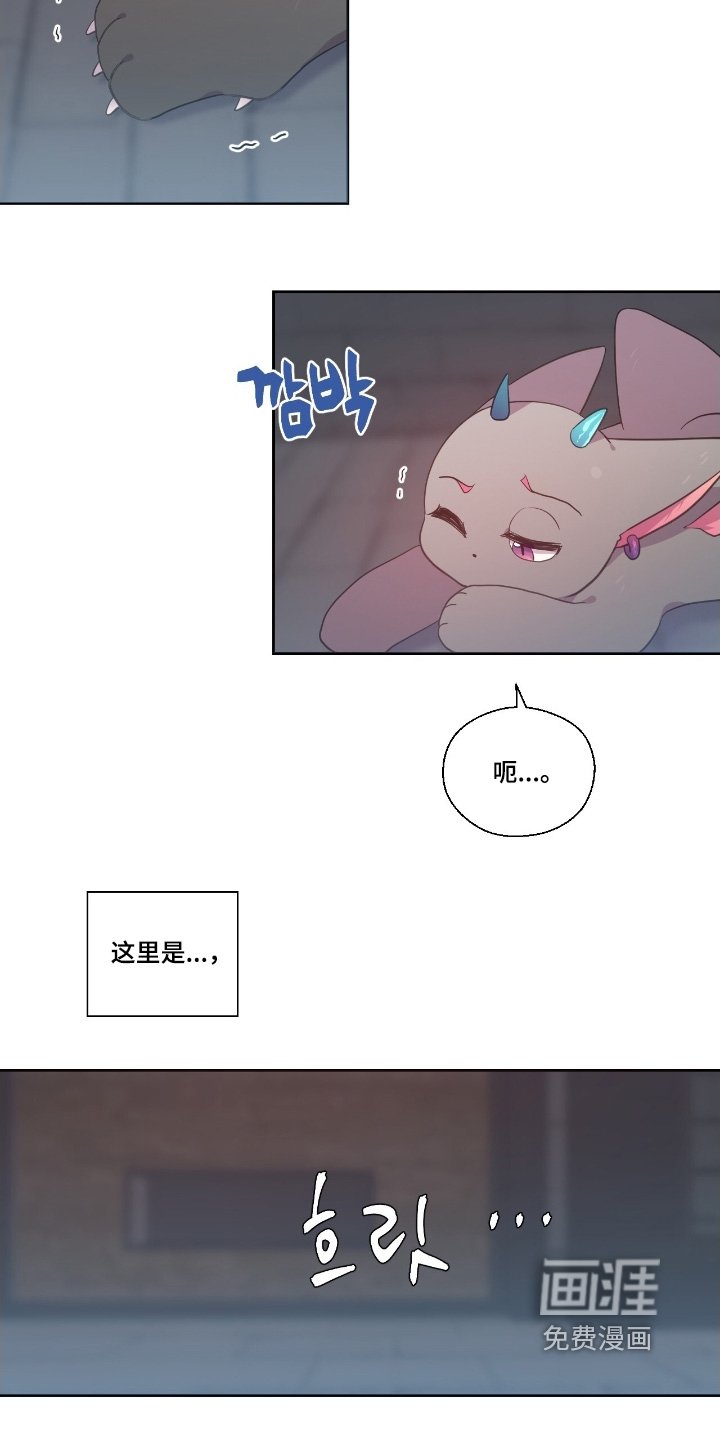 第65章：你认识我