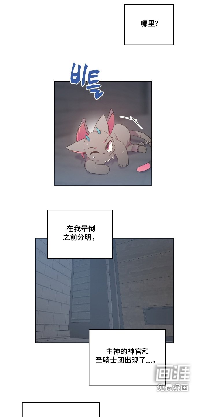 第65章：你认识我