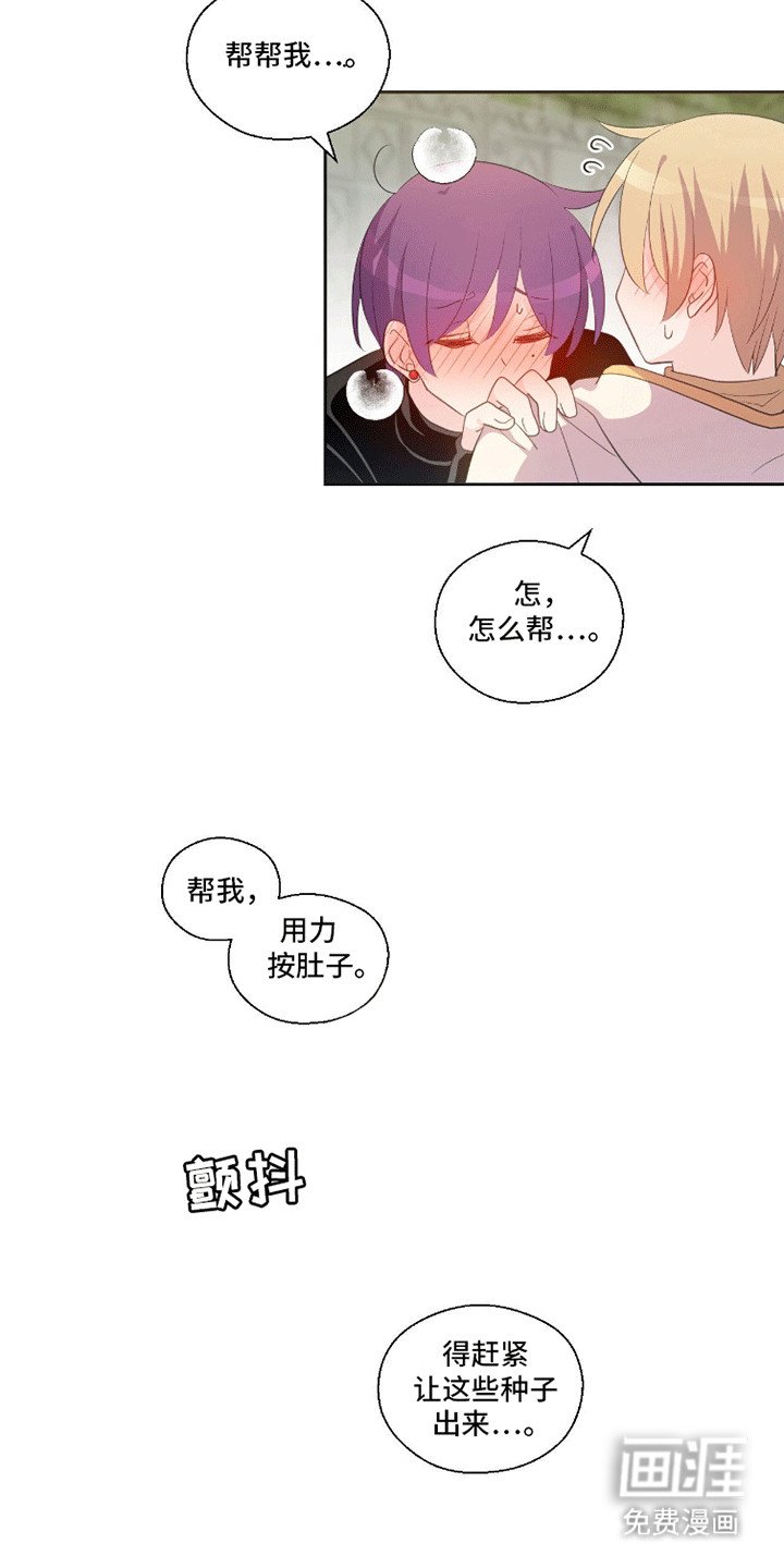 第7章：藤蔓的繁殖