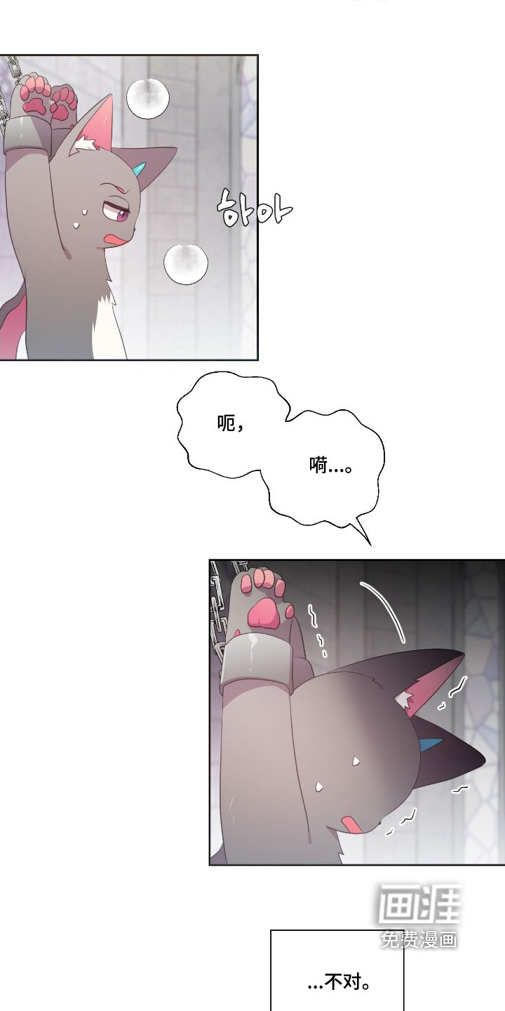 第74章：快醒醒