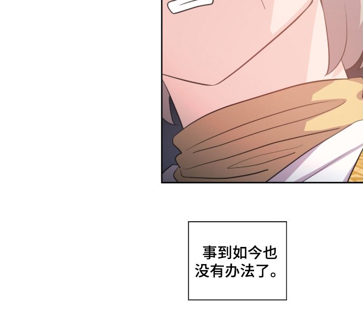第77章：协议