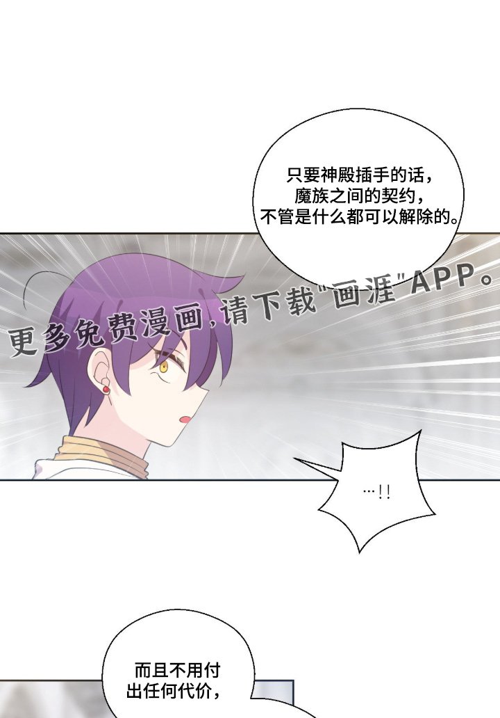 第78章：决定了吗