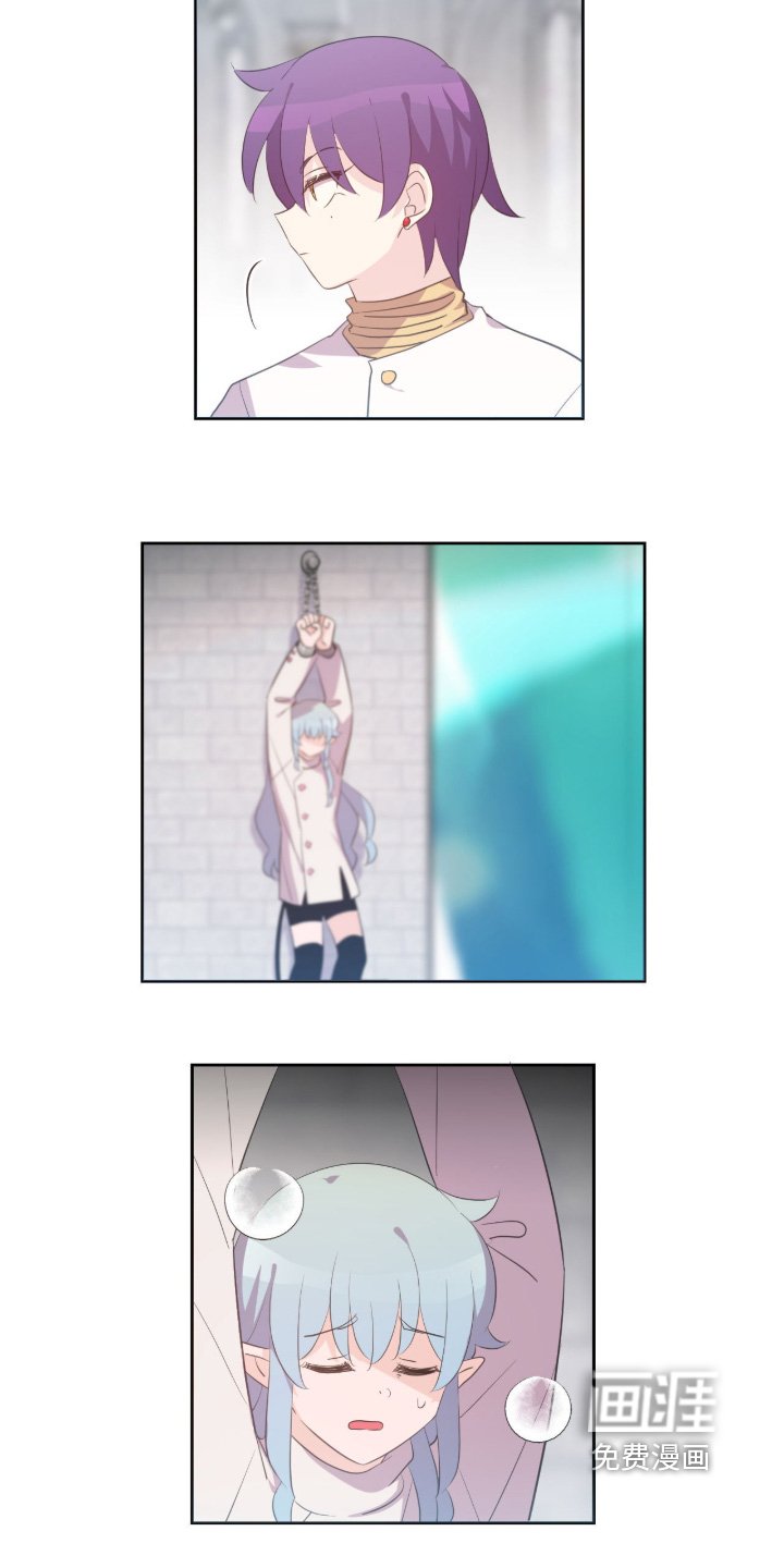 第78章：决定了吗