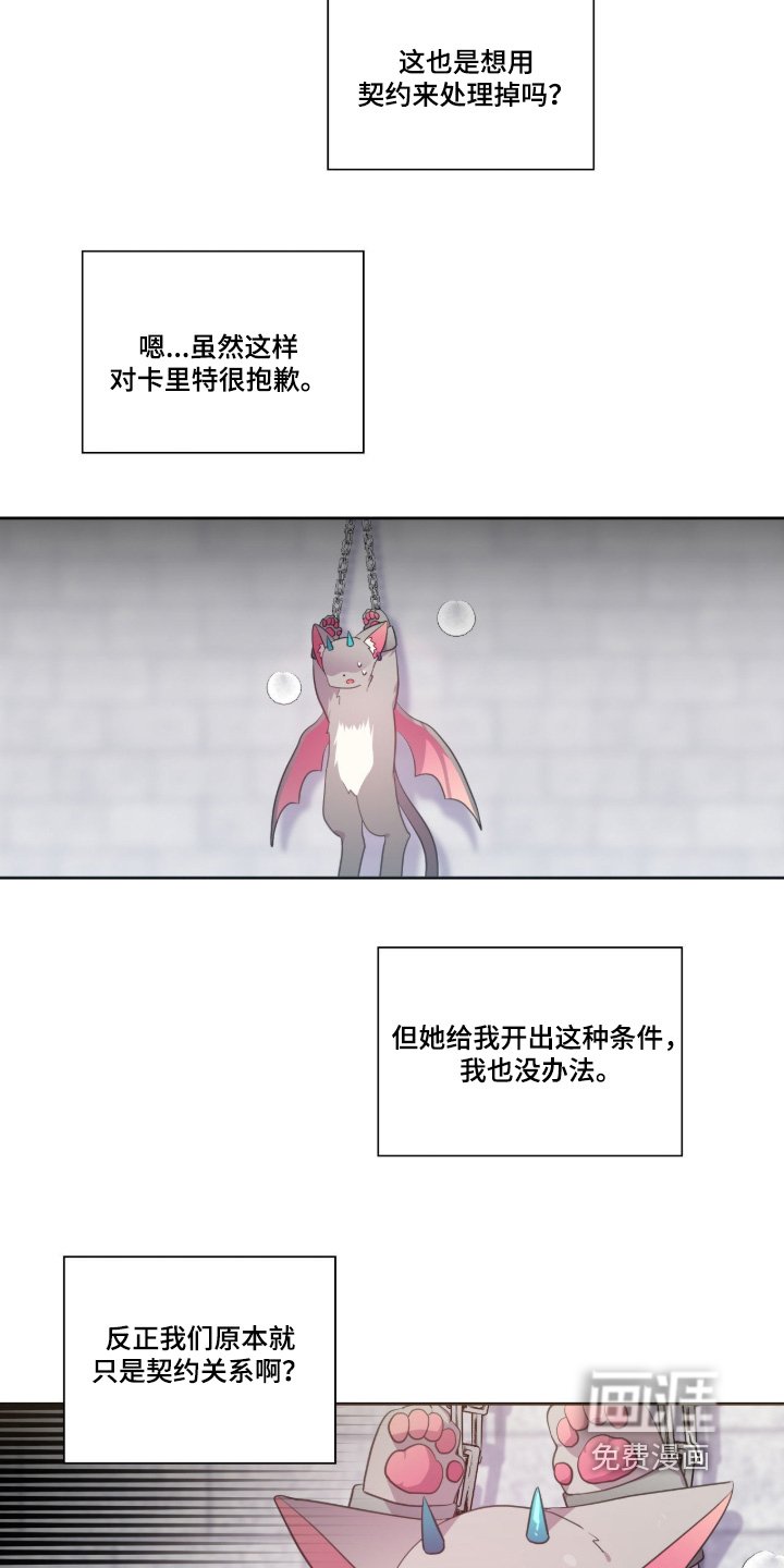 第78章：决定了吗