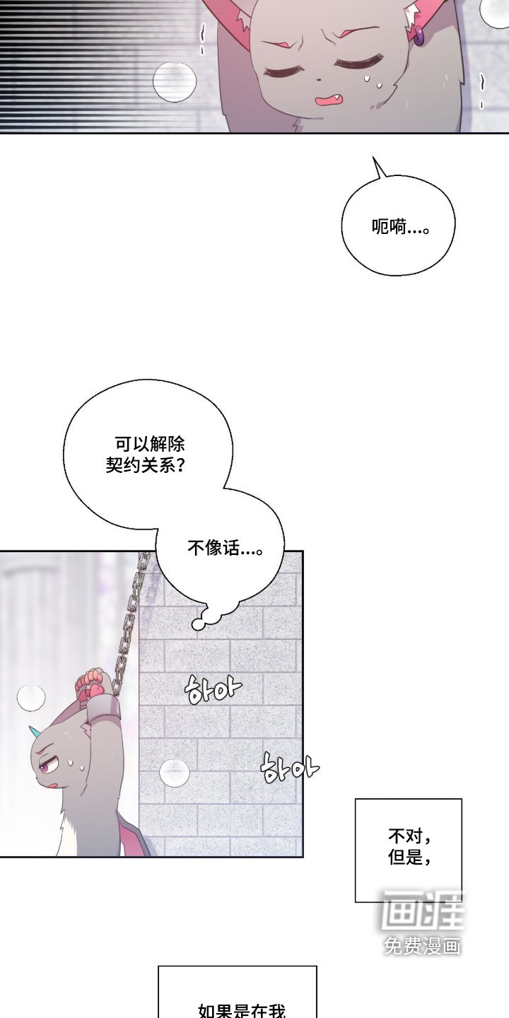 第78章：决定了吗