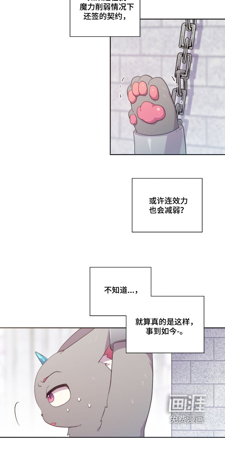 第78章：决定了吗