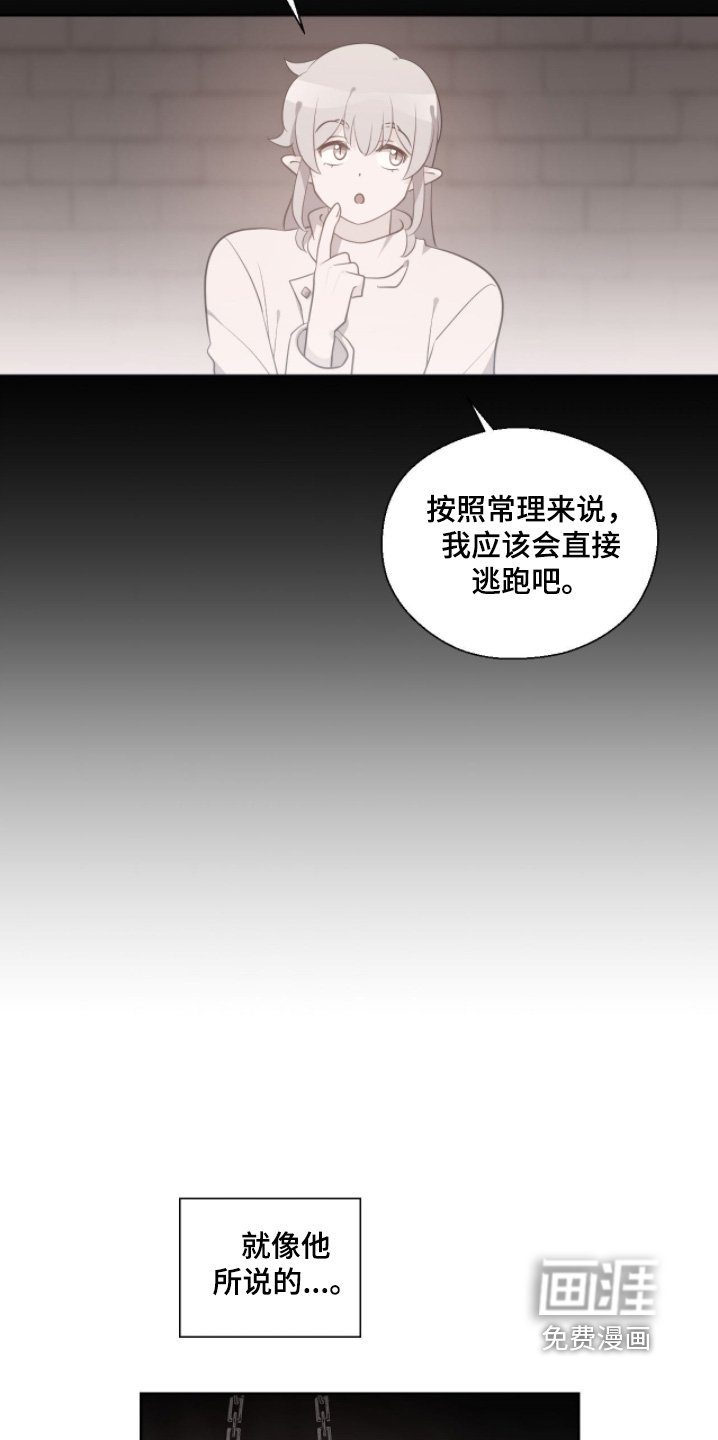 第80章：攻击的不是我