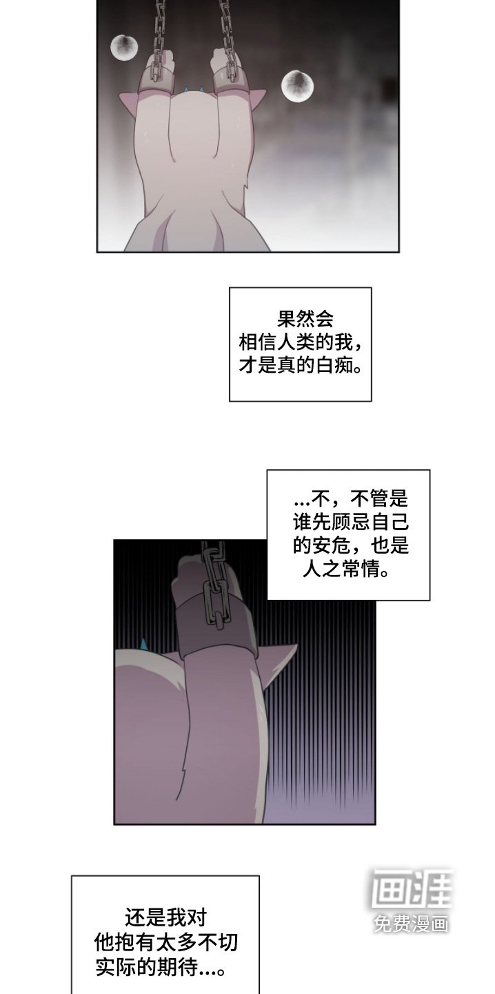 第80章：攻击的不是我