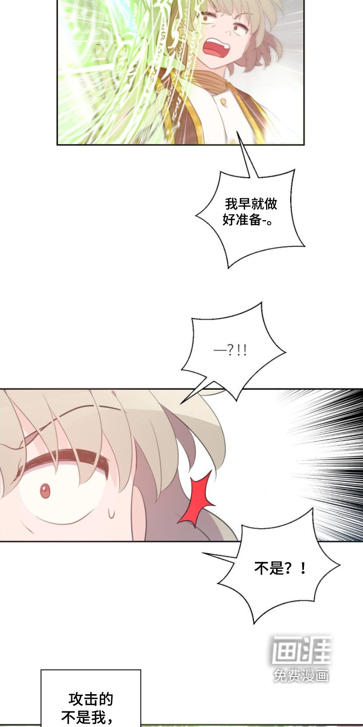 第80章：攻击的不是我