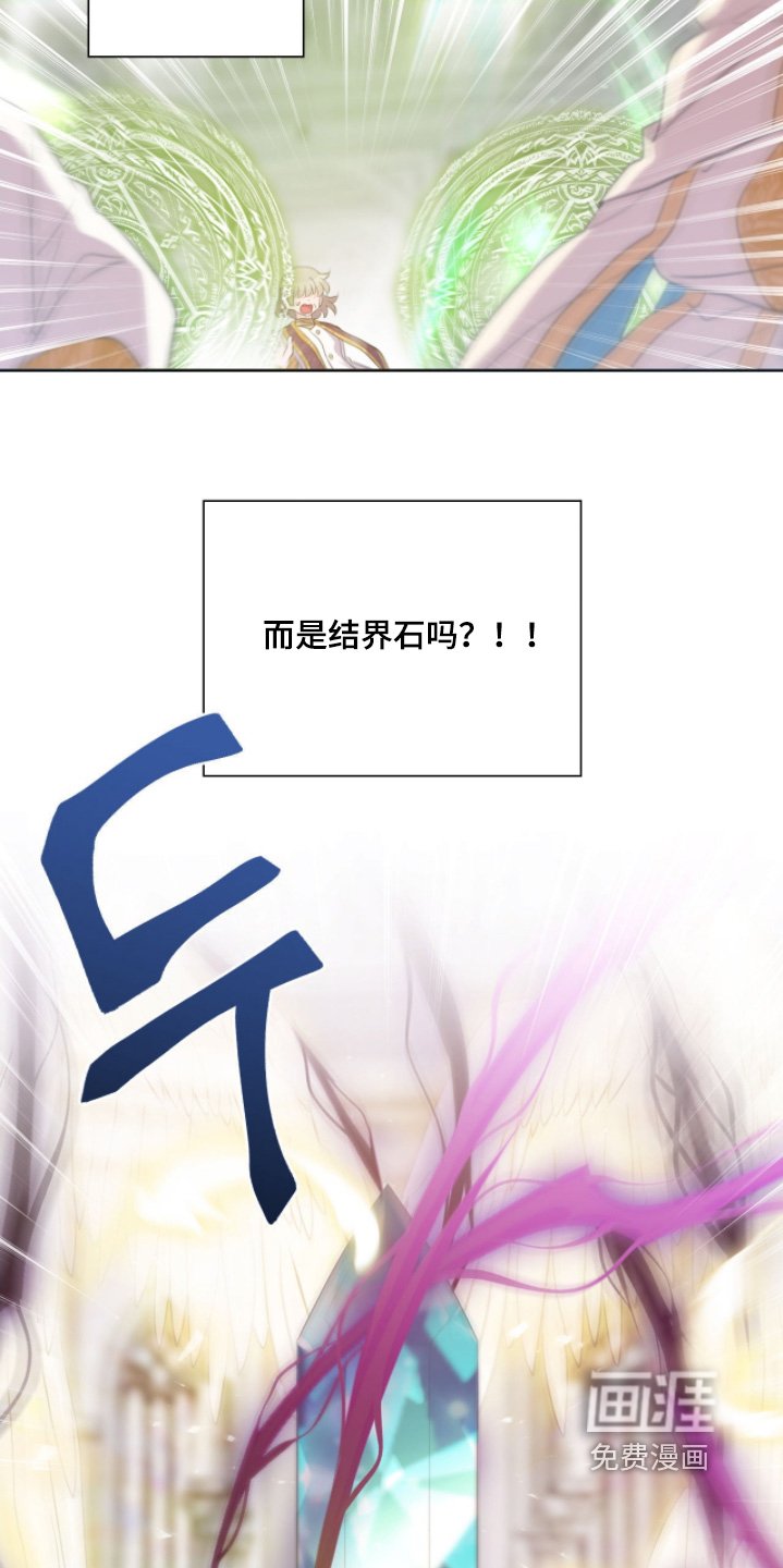 第80章：攻击的不是我