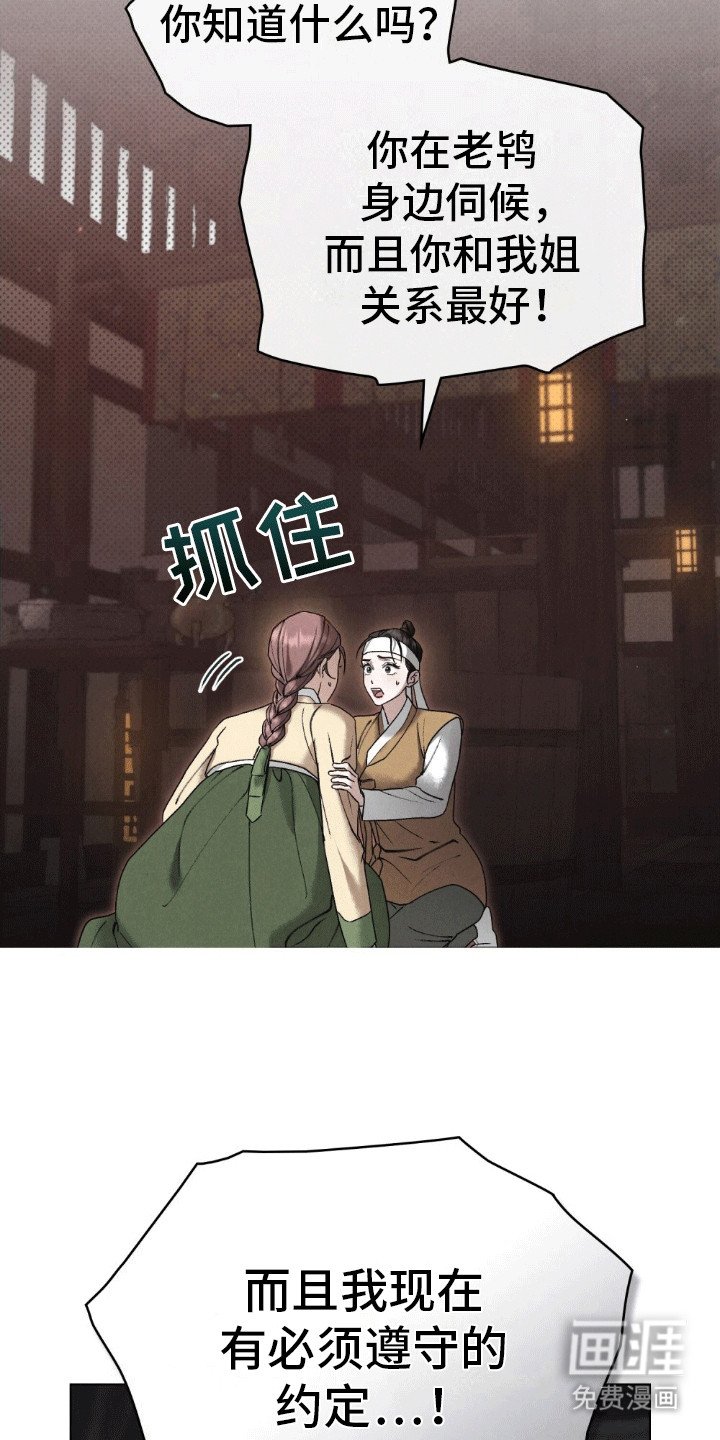 第11章：身不由己