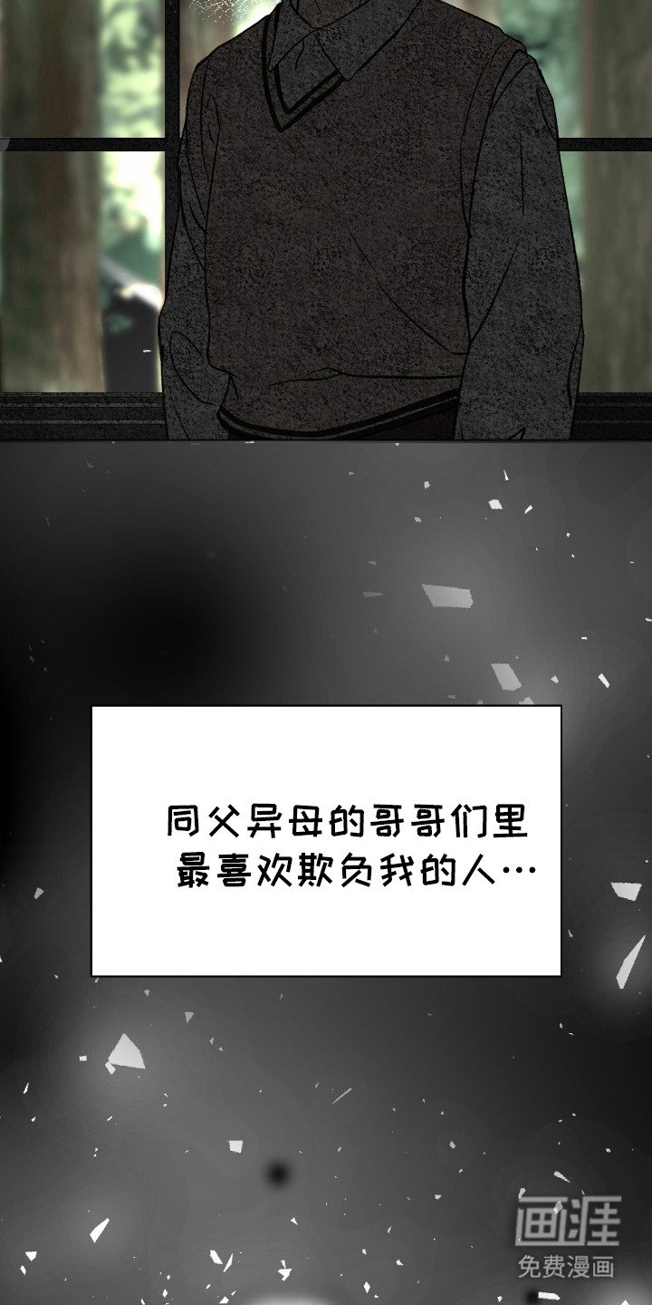 第23章：嘲讽