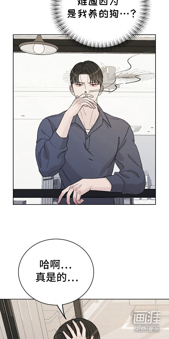第29章：并不抗拒