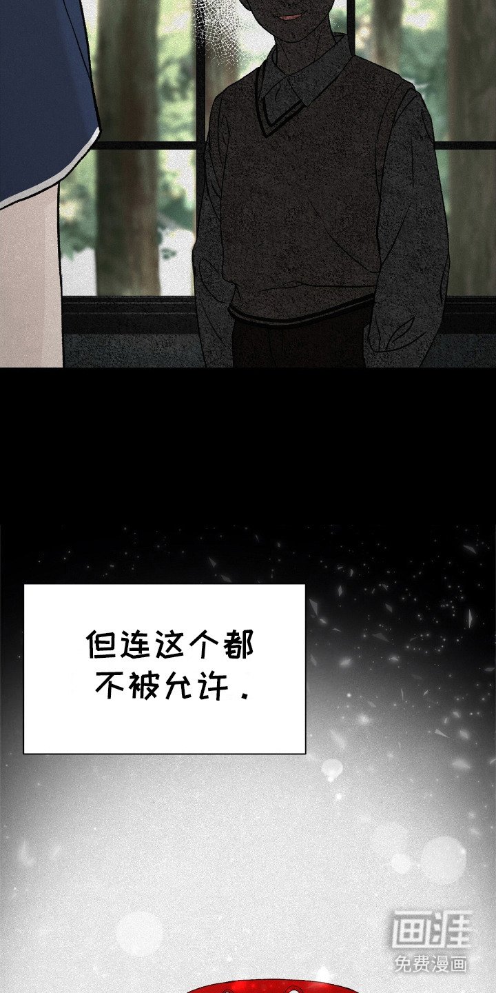 第3章：摩卡