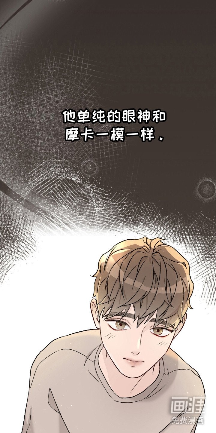 第3章：摩卡