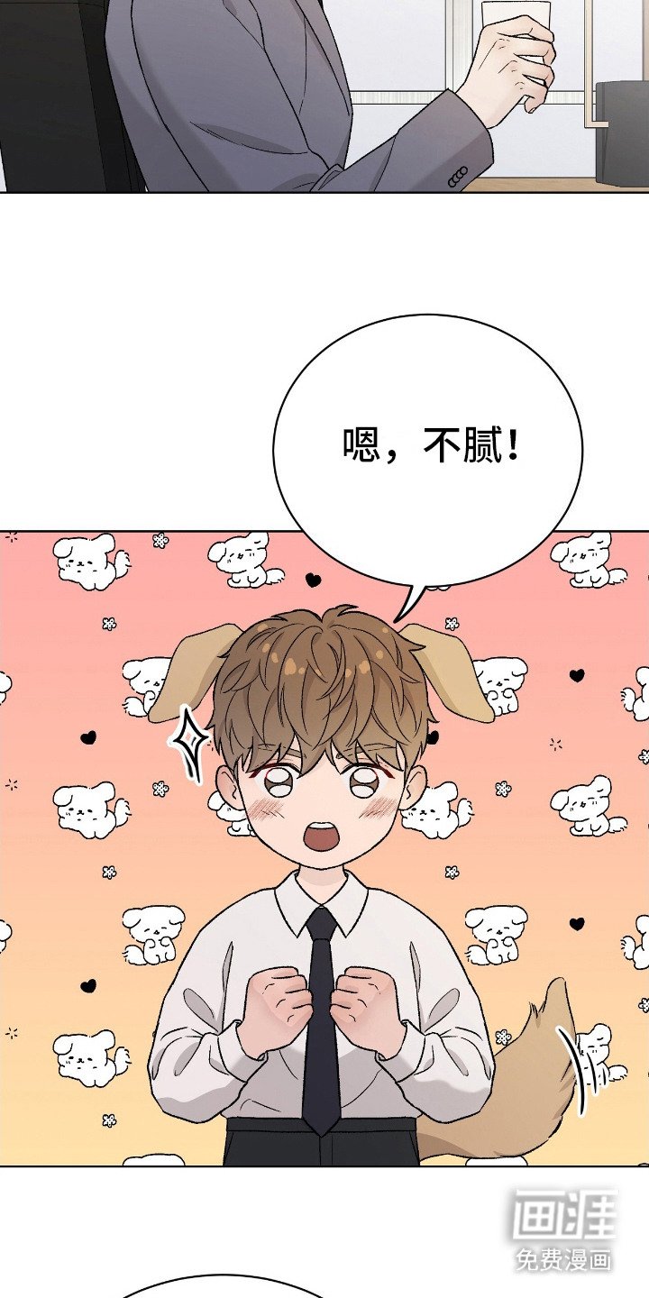 第30章：态度转变