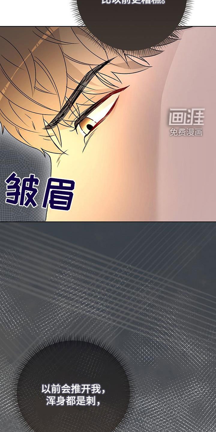 第46章：重新努力